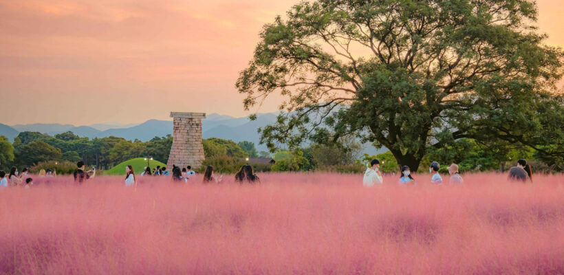 Golden Leaves & New Discoveries: Korea’s Autumn Travel Buzz